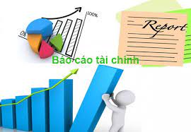 Báo cáo tài chính năm 2025